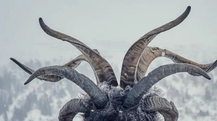 Granica Zbrodni sezon 2: Co musisz wiedzieć o liczbie odcinków i gdzie obejrzeć serial?