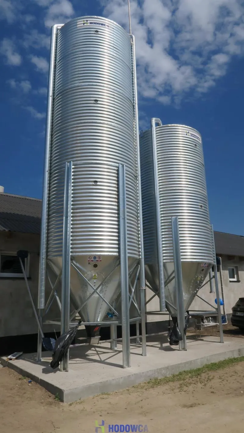 Fabuła i świat przedstawiony Silos