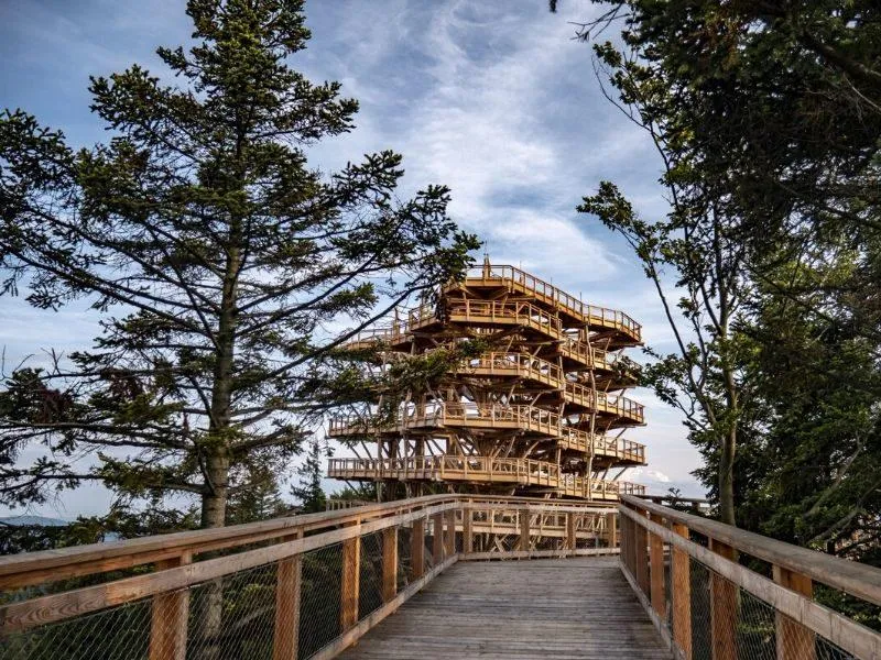 Legalne źródła filmów 2026