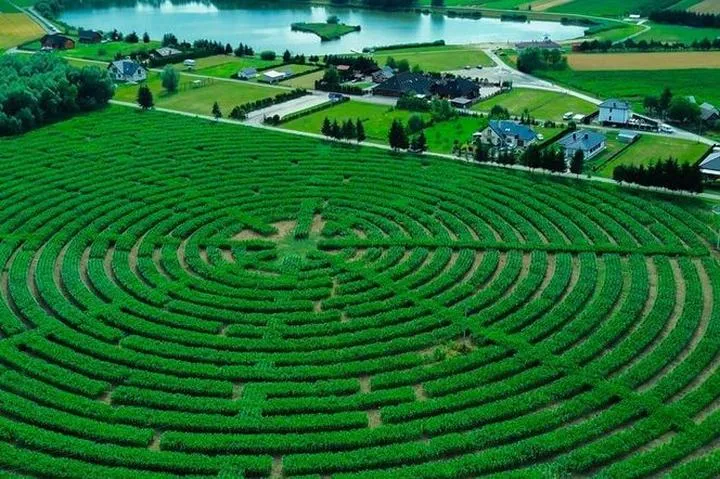 Symbolika w filmowych narracjach