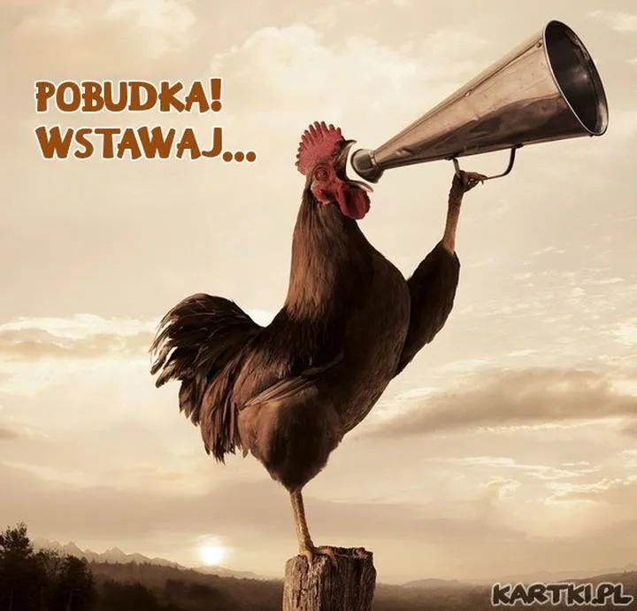 Terapia przez sztukę