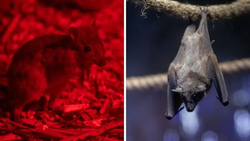 Thriller o zemście i odkupieniu