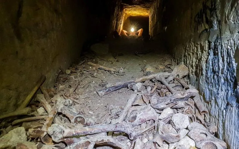 Zbrodnie i mroczna przeszłość podziemi